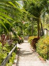 Famous 99 steps Charlotte Amalie