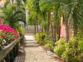 Famous 99 steps Charlotte Amalie