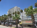 .The famous alley of palm trees, Cyprus, Larnaca.