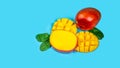 Famous Alphonso mango slices blue background, Top view. copy space text Royalty Free Stock Photo