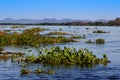 The famous Amazon River is the deepest in the world. The amazing nature of Brazil. Calm blue water, traditional Indian villages al