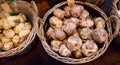 The famous Amsterdam flower market Bloemenmarkt. Bulbs of narcissus and hyacinths