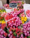 The famous Amsterdam flower market Bloemenmarkt. Multicolor tulips. The Symbol Of The Netherlands Royalty Free Stock Photo