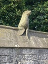 Famous Animal Wall in Cardiff Castle, Cardiff, Wales, UK