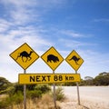 Famous Australian Sign Camels Wombats Kangaroos Royalty Free Stock Photo
