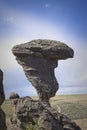 The famous balanced rock in Idaho