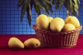 Famous Banganpalle mangoes from Andhra Pradesh India Royalty Free Stock Photo