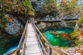 Famous and beloved Vintgar Gorge canyon with wooden path in beautiful autumn colors near Bled Lake of Triglav National Park Royalty Free Stock Photo