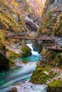 Famous and beloved Vintgar Gorge canyon with wooden path in beautiful autumn colors near Bled Lake of Triglav National Park Royalty Free Stock Photo