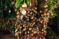 Famous Big Buddha wish bells, Phuket, Thailand Royalty Free Stock Photo