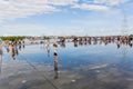 Famous Bordeaux water mirror full of people