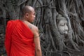 The famous Buddha head at Wat Mahathat in Ayutthaya Historical Park, Thailand.