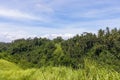 Famous Campuhan ridge walk in Ubud, Bali, Indonesia