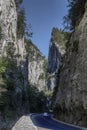 Famous canyon of Bicaz in Transylvania, Romania