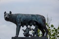 The famous capitoline statue of the wolf and Romulus and Remus Royalty Free Stock Photo