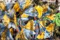 Famous Carnival of Nice, Flowers` battle. Samba dancers