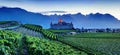 Famous castle Chateau d`Aigle in canton Vaud, Switzerland. Castle in Aigle is overlooking surrounding vineyards and the Alps.