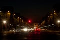 Famous Champs Elysee boulevard Royalty Free Stock Photo