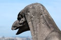 Famous chimera of Notre-Dame overlooking Paris Royalty Free Stock Photo