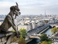 A famous chimera statue of Notre-Dame de Paris cathedral, gazing at the city from the towers gallery Royalty Free Stock Photo