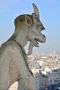 Famous chimere of Notre-Dame