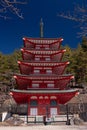 The famous Chureito Pagoda near Mount Fuji in Japan in early spring Royalty Free Stock Photo