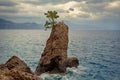 Famous coastal rock with lonely pine tree on top near Portofino. Liguria, Italy Royalty Free Stock Photo