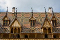 Burgundian Tile Roof