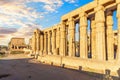 Famous columns of Luxor Temple, back view of the pillars, Egypt Royalty Free Stock Photo