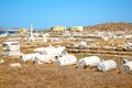 famous in delos greece historycal and site