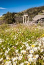 Temple tholos of Athena Pronaia Sanctuary in Delphi, Greece Royalty Free Stock Photo