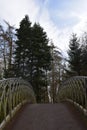 Famous devil`s bridge with beautiful landscape at World Cultural Heritage Herkules in Kassel, WilhelmshÃÂ¶he, Germany