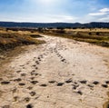 Dinosaur tracks of Comanche National Grassland.  La Junta, Colorado.  Aerial Drone Photo Royalty Free Stock Photo