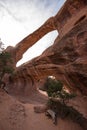 Famous Double Arch in the Arches National Park Royalty Free Stock Photo