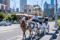 Famous double horse carriage attraction near Flinders Street.