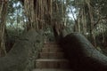 Famous dragon bridge in Monkey Forest Sanctuary in Ubud, Bali, Indonesia. Royalty Free Stock Photo