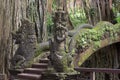 Famous dragon bridge in sacred monkey forest