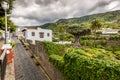 Famous Dragon Tree Drago Milenario in Icod de los Vinos Tenerife, Canary Islands