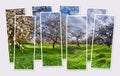 Isolated eight frames collage of picture of blooming apple-trees garden