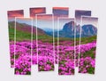Isolated eight frames collage of picture of colorful summer sunrise in the mountains.