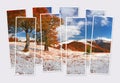 Isolated eight frames collage of picture of sunny morning view of Carpathian mountains.