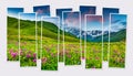 Isolated ten frames collage of picture of alpine meadows in Caucasus mountains. Royalty Free Stock Photo