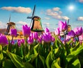 The famous Dutch windmills