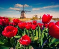 The famous Dutch windmills.
