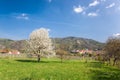 DÃÂ¼rnstein village during spring time in Wachau, Austria Royalty Free Stock Photo