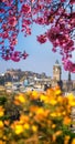 View of old town Edinburgh with spring trees in Scotland Royalty Free Stock Photo