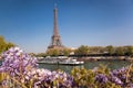 Eiffel Tower with boat during spring time in Paris, France Royalty Free Stock Photo