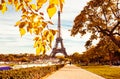 Famous Eiffel Tower in Paris Royalty Free Stock Photo