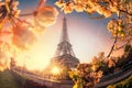 Eiffel Tower during spring time in Paris, France Royalty Free Stock Photo