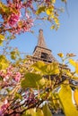 Eiffel Tower during spring time in Paris, France Royalty Free Stock Photo